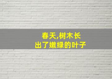 春天,树木长出了嫩绿的叶子