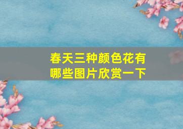 春天三种颜色花有哪些图片欣赏一下