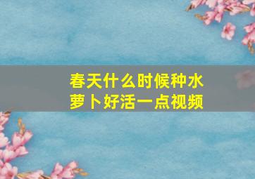 春天什么时候种水萝卜好活一点视频