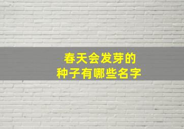 春天会发芽的种子有哪些名字