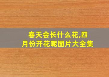 春天会长什么花,四月份开花呢图片大全集