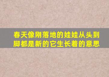 春天像刚落地的娃娃从头到脚都是新的它生长着的意思