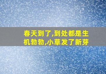 春天到了,到处都是生机勃勃,小草发了新芽