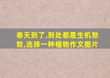 春天到了,到处都是生机勃勃,选择一种植物作文图片