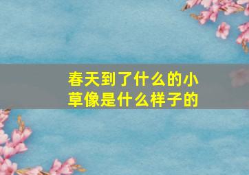 春天到了什么的小草像是什么样子的