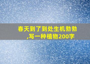 春天到了到处生机勃勃,写一种植物200字