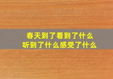 春天到了看到了什么听到了什么感受了什么