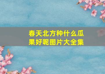 春天北方种什么瓜果好呢图片大全集