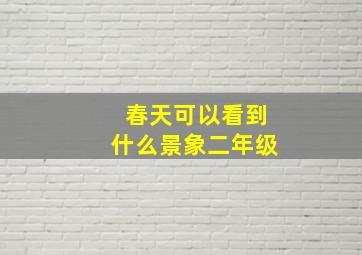 春天可以看到什么景象二年级