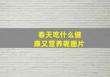 春天吃什么健康又营养呢图片