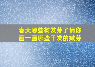 春天哪些树发芽了请你画一画哪些干发的嫩芽