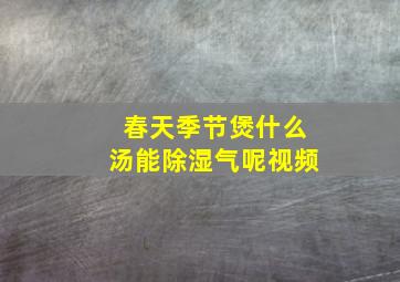 春天季节煲什么汤能除湿气呢视频