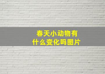 春天小动物有什么变化吗图片