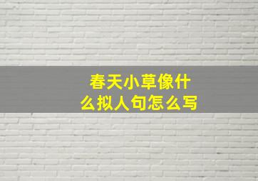 春天小草像什么拟人句怎么写