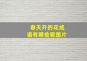 春天开的花成语有哪些呢图片