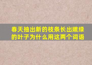 春天抽出新的枝条长出嫩绿的叶子为什么用这两个词语