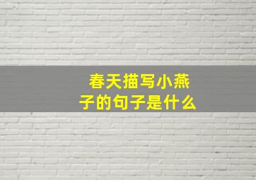 春天描写小燕子的句子是什么