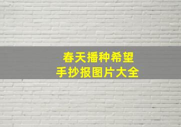 春天播种希望手抄报图片大全