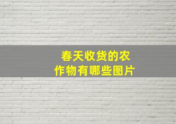 春天收货的农作物有哪些图片