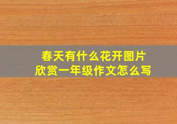 春天有什么花开图片欣赏一年级作文怎么写