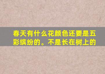 春天有什么花颜色还要是五彩缤纷的。不是长在树上的