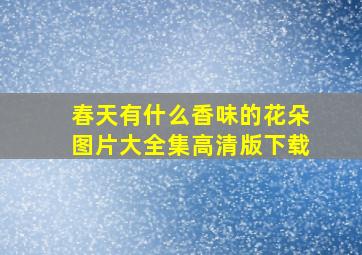 春天有什么香味的花朵图片大全集高清版下载