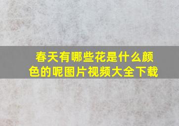 春天有哪些花是什么颜色的呢图片视频大全下载