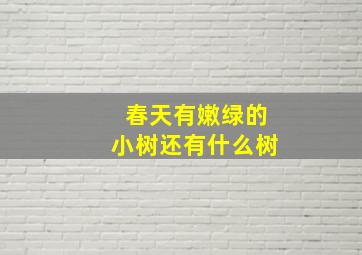 春天有嫩绿的小树还有什么树