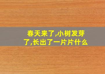 春天来了,小树发芽了,长出了一片片什么