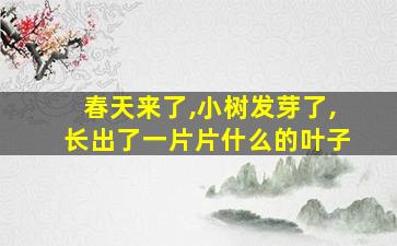 春天来了,小树发芽了,长出了一片片什么的叶子