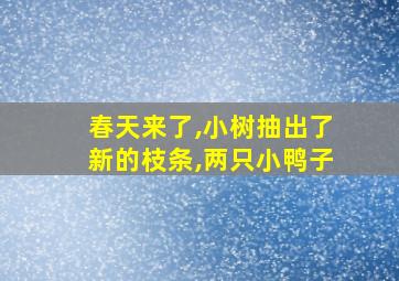 春天来了,小树抽出了新的枝条,两只小鸭子