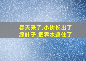 春天来了,小树长出了绿叶子,把雾水遮住了