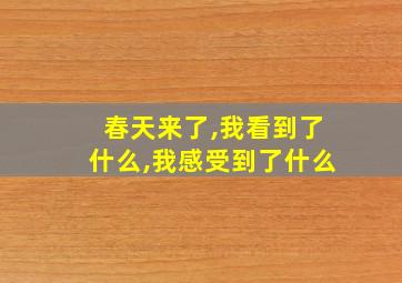 春天来了,我看到了什么,我感受到了什么