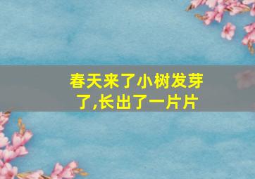 春天来了小树发芽了,长出了一片片