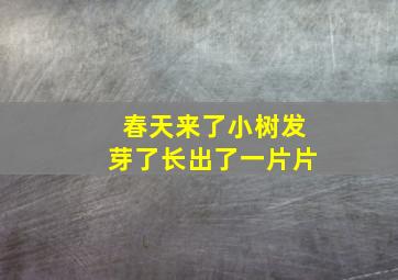 春天来了小树发芽了长出了一片片