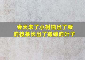 春天来了小树抽出了新的枝条长出了嫩绿的叶子