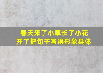 春天来了小草长了小花开了把句子写得形象具体