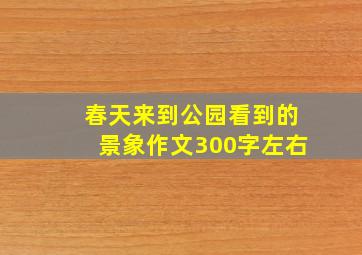 春天来到公园看到的景象作文300字左右