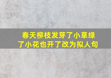 春天柳枝发芽了小草绿了小花也开了改为拟人句