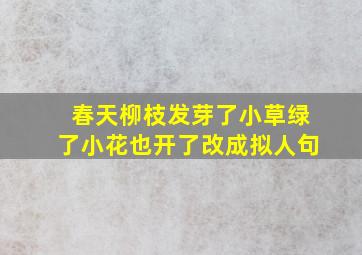 春天柳枝发芽了小草绿了小花也开了改成拟人句