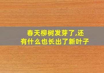 春天柳树发芽了,还有什么也长出了新叶子