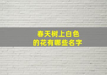 春天树上白色的花有哪些名字