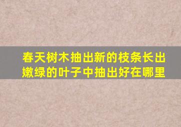 春天树木抽出新的枝条长出嫩绿的叶子中抽出好在哪里