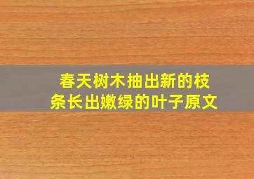 春天树木抽出新的枝条长出嫩绿的叶子原文