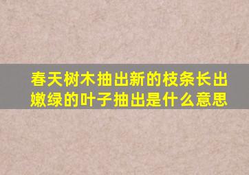 春天树木抽出新的枝条长出嫩绿的叶子抽出是什么意思