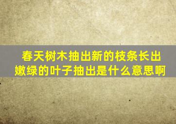 春天树木抽出新的枝条长出嫩绿的叶子抽出是什么意思啊