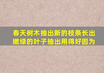 春天树木抽出新的枝条长出嫩绿的叶子抽出用得好因为