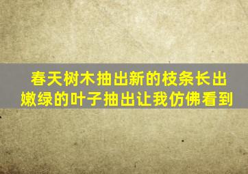 春天树木抽出新的枝条长出嫩绿的叶子抽出让我仿佛看到