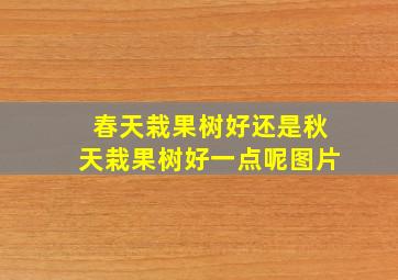 春天栽果树好还是秋天栽果树好一点呢图片