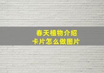 春天植物介绍卡片怎么做图片